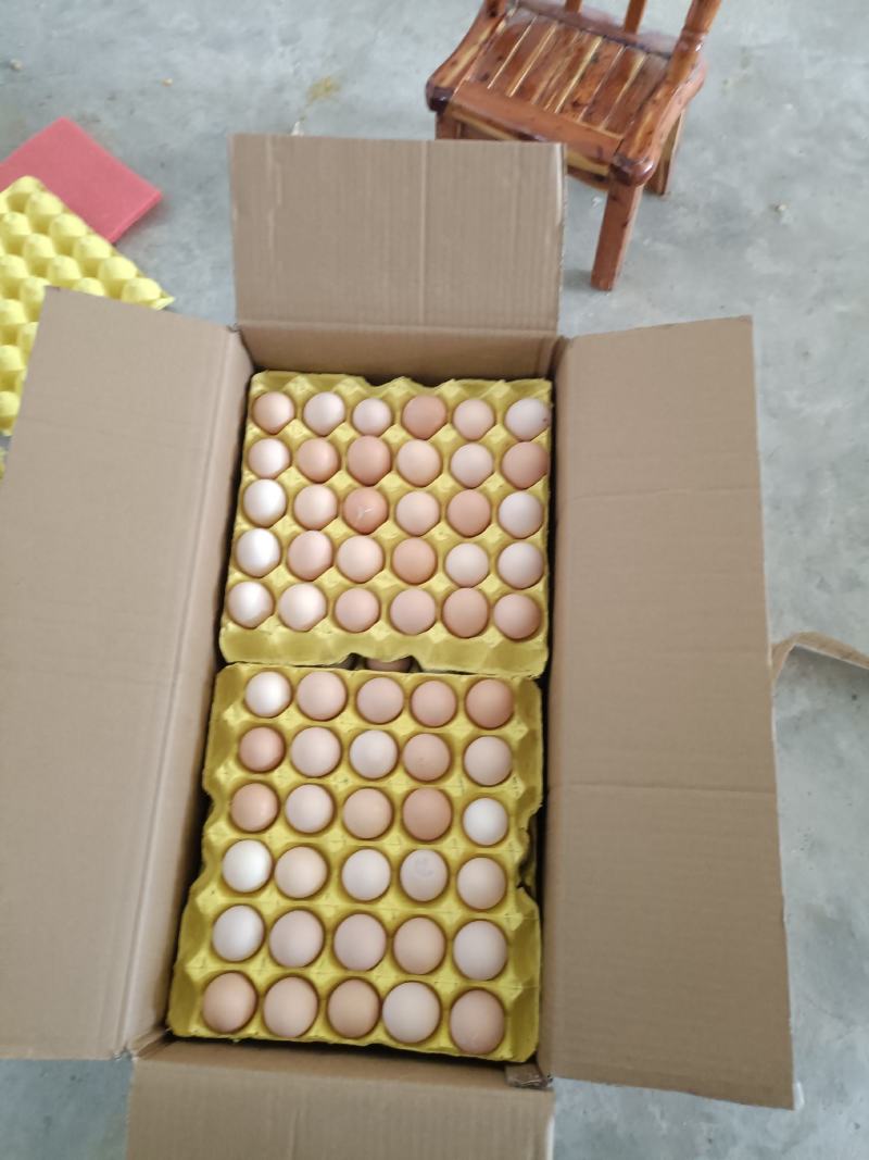湖北绿壳土鸡蛋基地直发品质保证量大从优欢迎联系