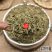 云南野生中药材侧柏叶干侧柏叶柏树叶500g