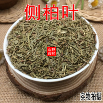 云南野生中药材侧柏叶干侧柏叶柏树叶500g