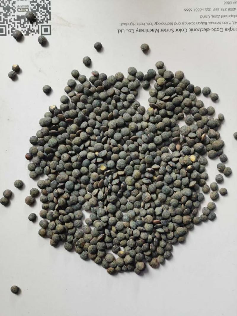 黑扁豆