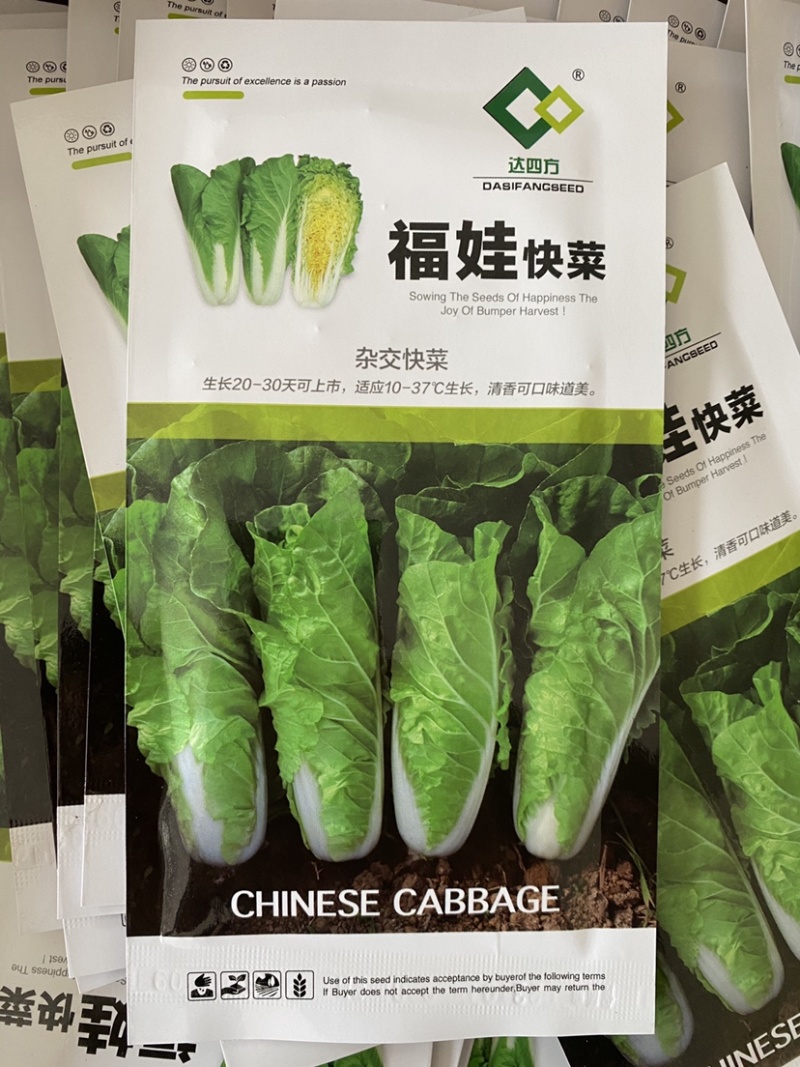 福娃快菜春夏秋冬四季种植耐热耐寒奶油快菜小白菜
