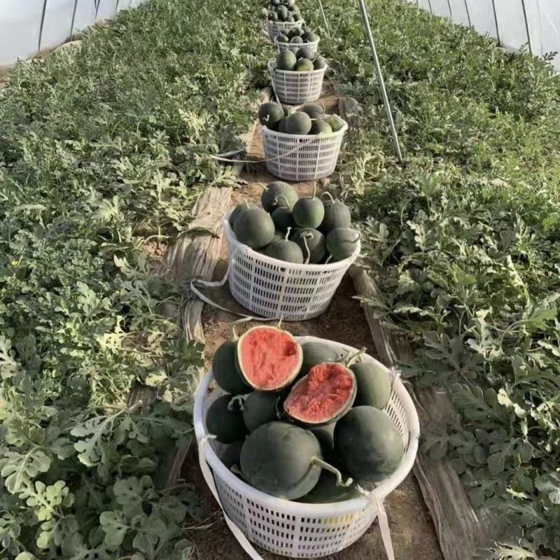 加厚西瓜筐白色圆形大箩筐水果蔬菜周转塑料筐装水产龙虾