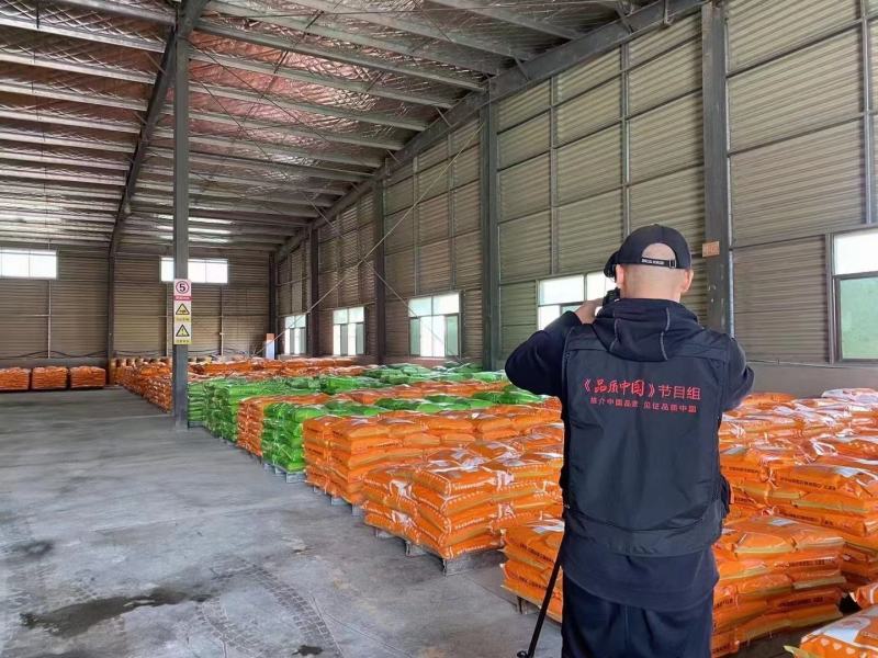 四周到七周生长鹅饲料预混料补微量元素维生素养殖专用厂家