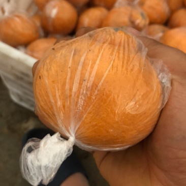 丑橘不知火储存果甜纯甜化渣大量批发