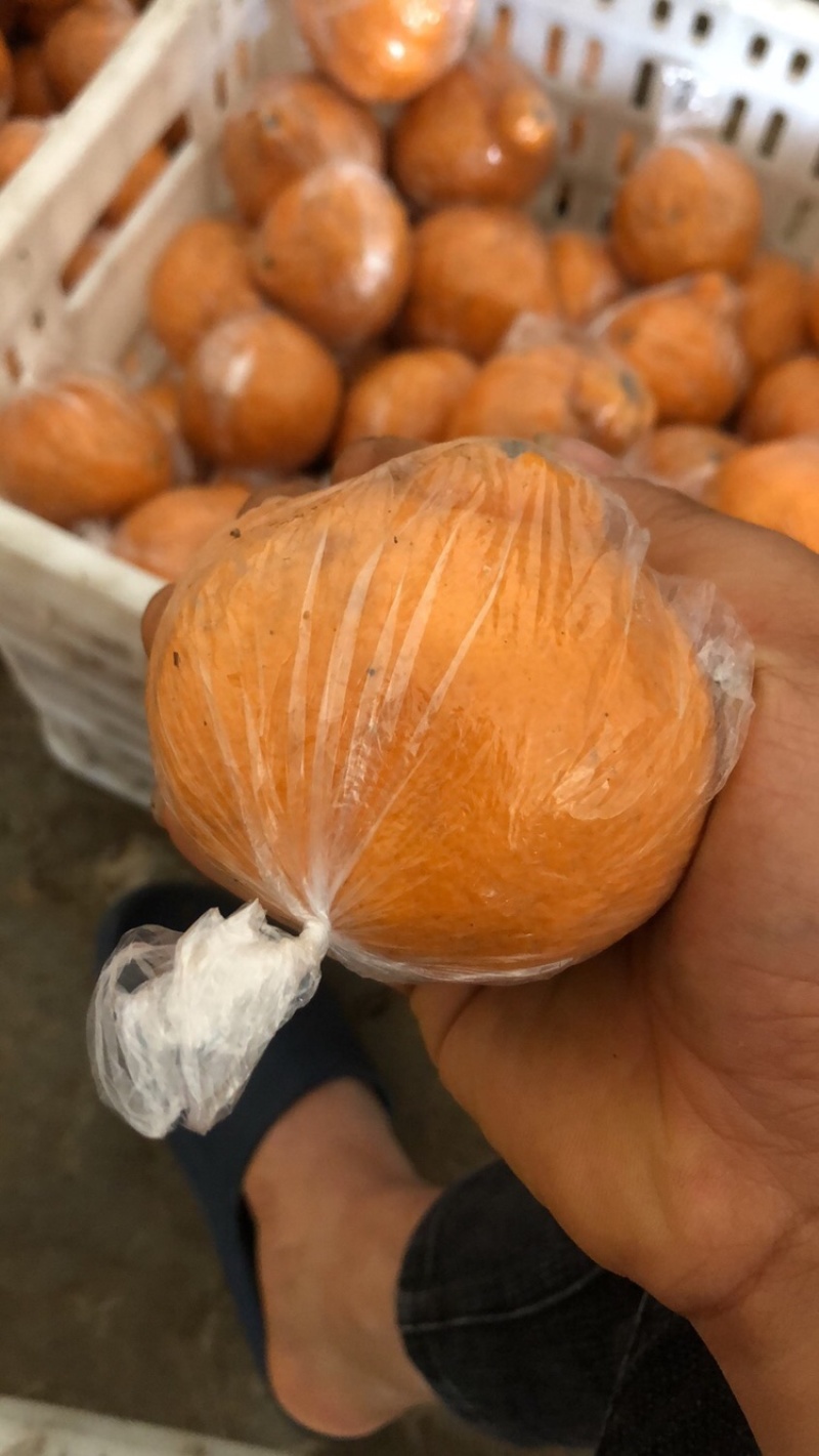 丑橘不知火储存果甜纯甜化渣大量批发