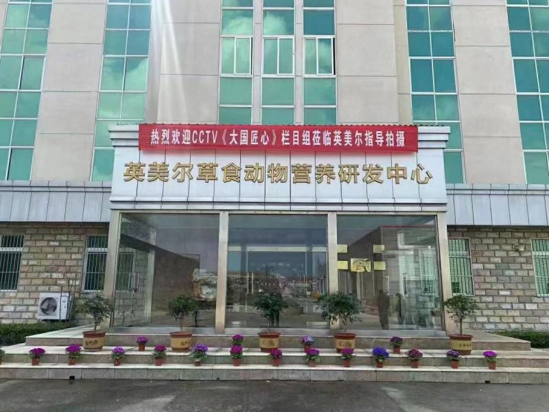 成都英美尔育肥肉羊专用复合预混合饲料后期催肥增重促生长肉