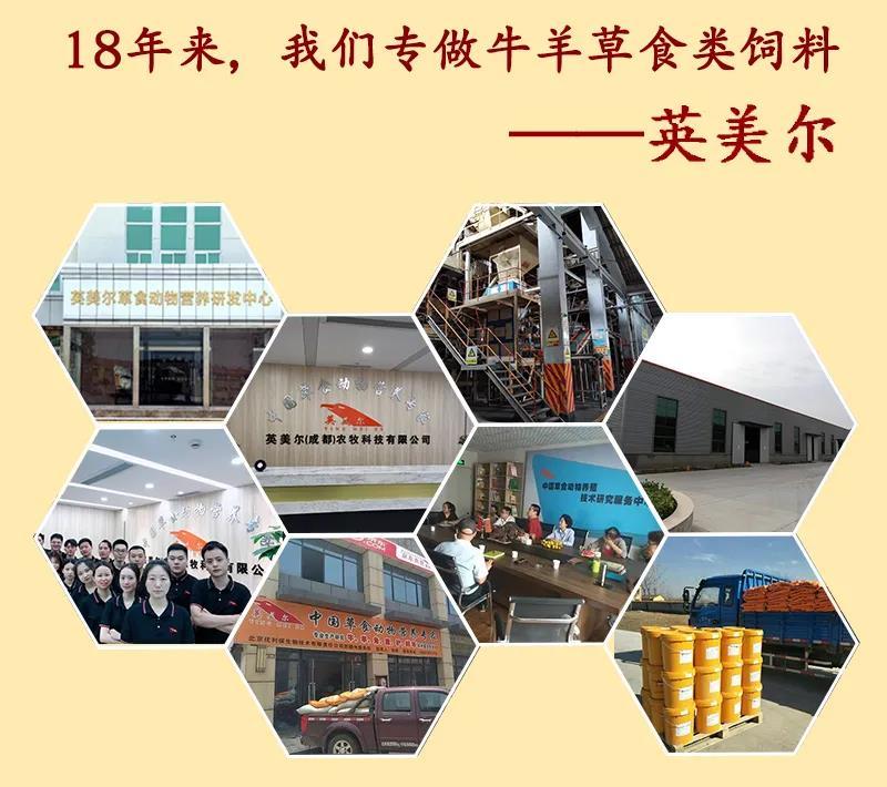 成都英美尔育肥肉羊专用复合预混合饲料后期催肥增重促生长肉