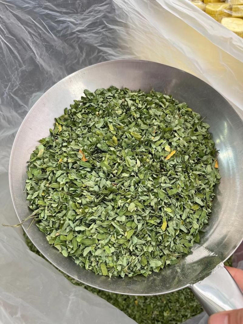 野生鸡骨草叶相思叶鸡骨草茶颜色青绿无杂质，一手货源