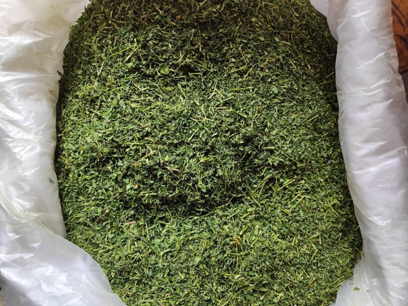 广西相思藤茶小叶鸡骨草茶鸡骨草叶藤相思叶茶