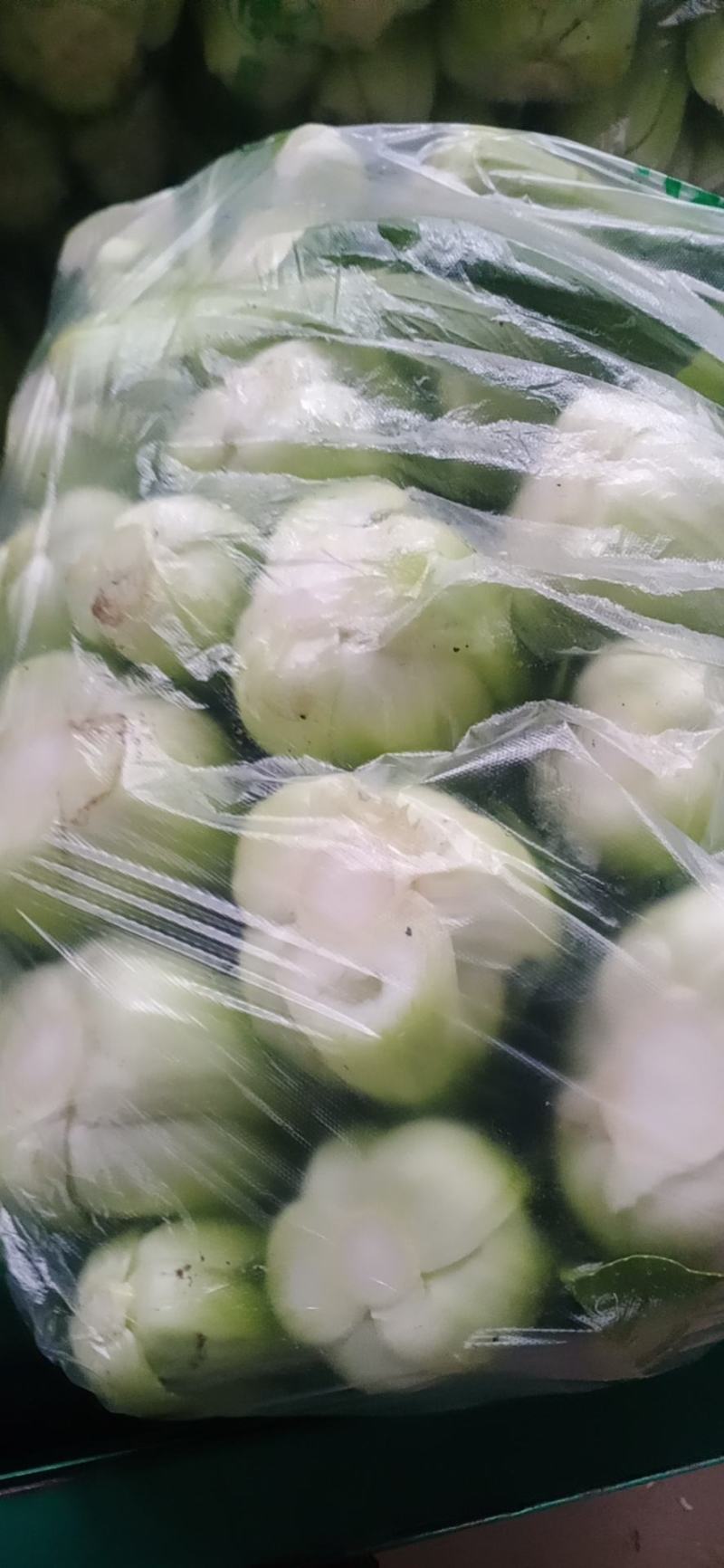 大颗中颗小颗上海青，一年四季有货，产地直发价格美丽，