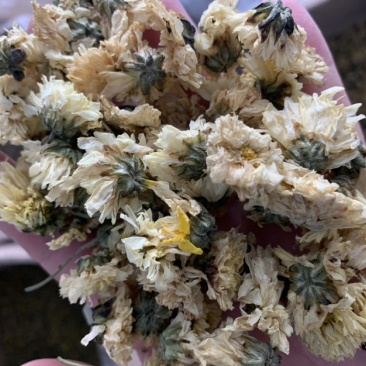 菊花茶杭白菊茶饮级别