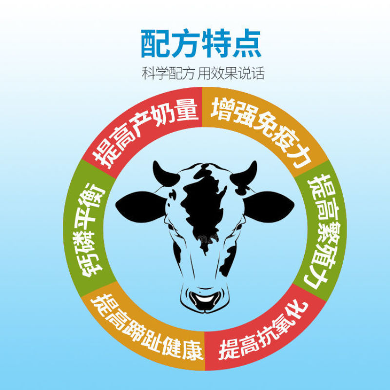 奶牛预混料提高产奶量黑白花荷斯坦奶牛娟姗牛爱尔夏牛更赛牛