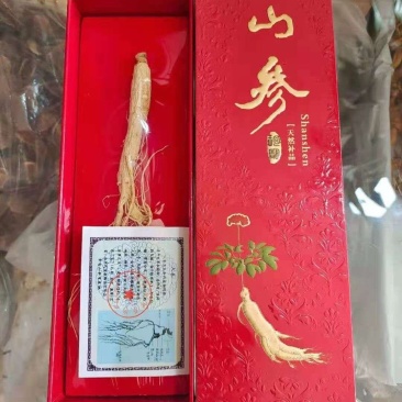 人参单支小礼盒，产地发货，规格可定制，价格优势，量大来