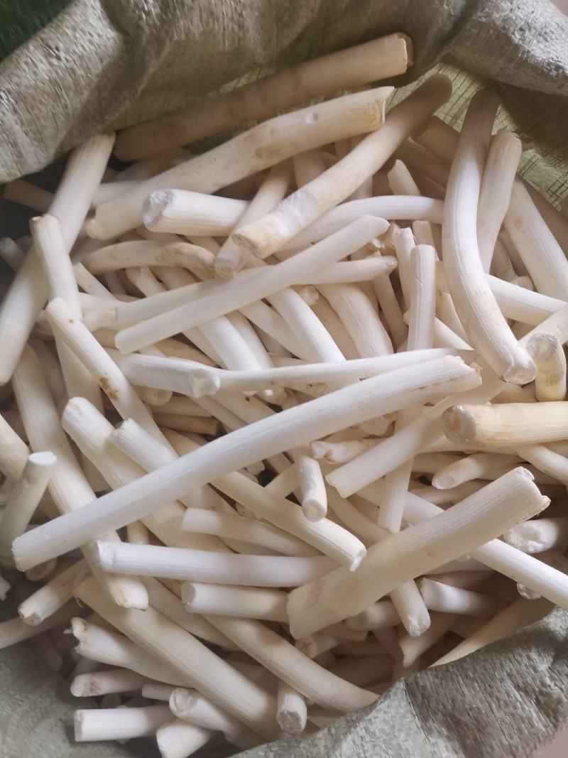 大通草小通草统个切片量大从优无硫净货