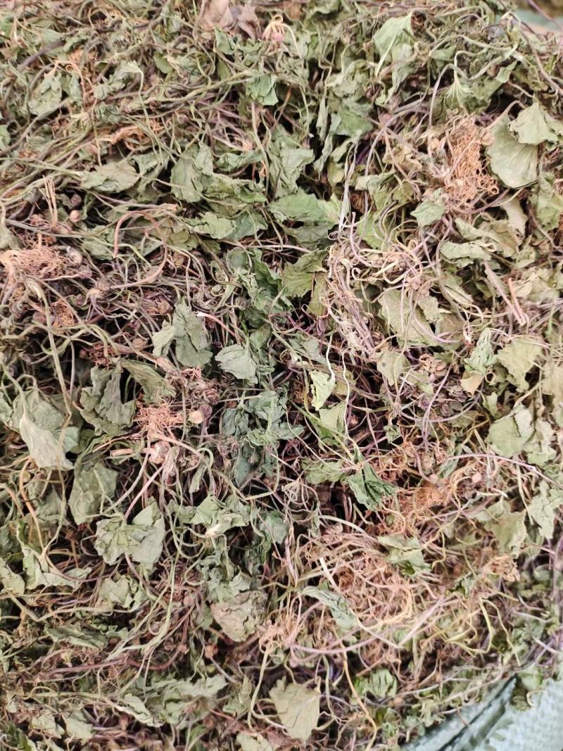 草类雷公根草崩大碗积雪草马蹄草雷公藤草新货