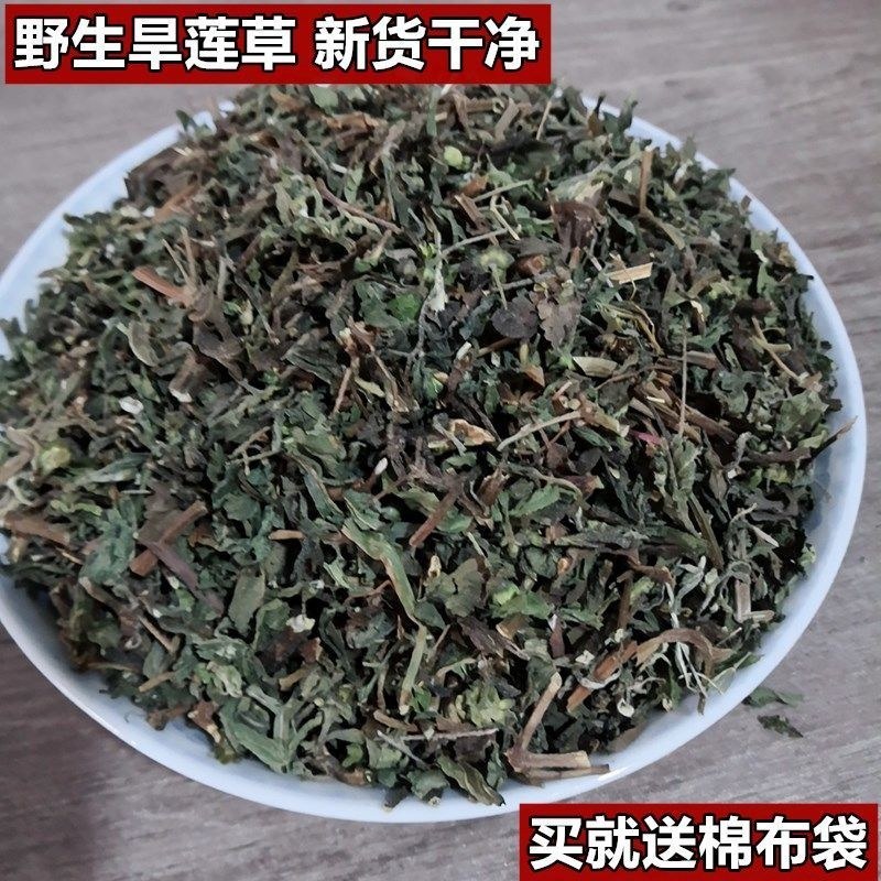 中药材旱莲草秦岭药材野生墨旱莲中药材墨旱莲量大从优