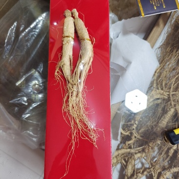 白参礼盒，精品人参，双支人参带礼盒拎兜，量大价优
