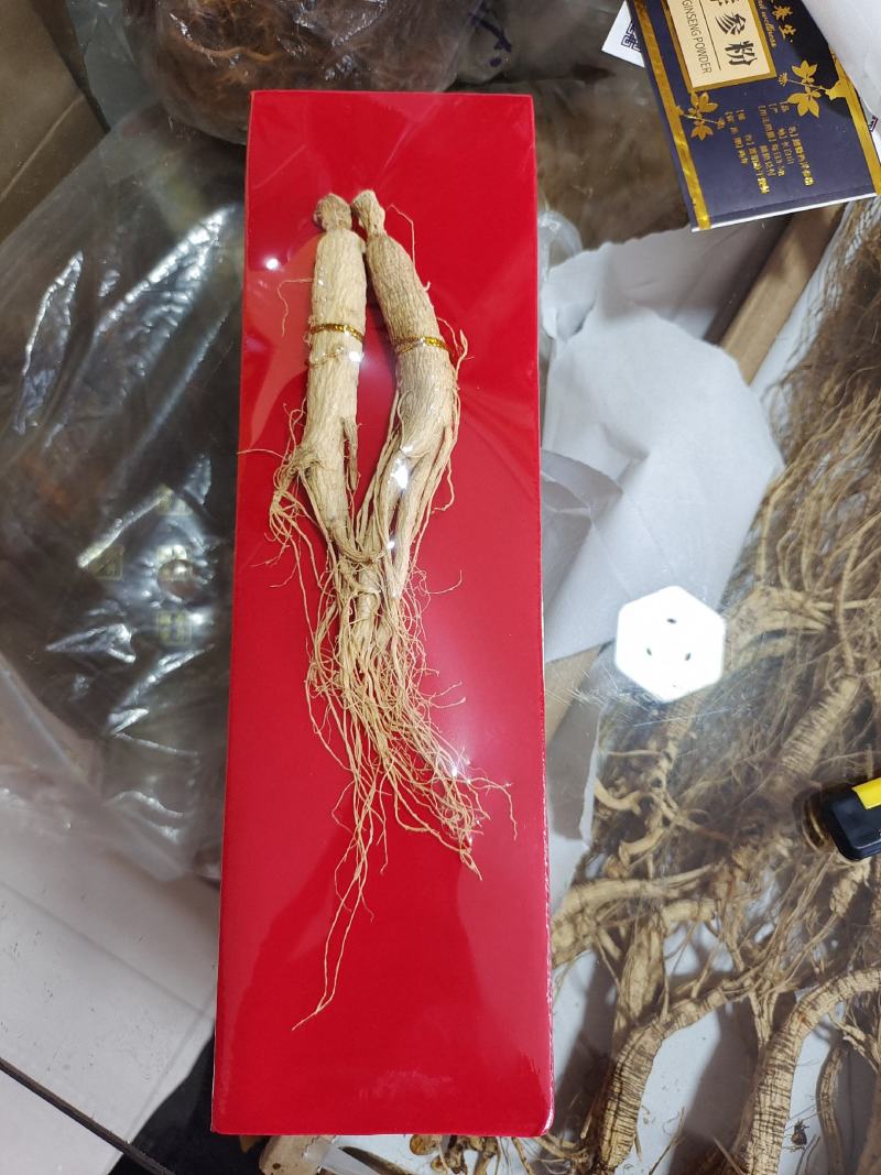 白参礼盒，精品人参，双支人参带礼盒拎兜，量大价优