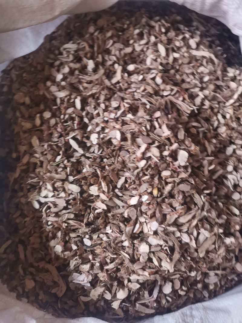 石菖蒲统条切片过筛去毛量大从优欢迎选购