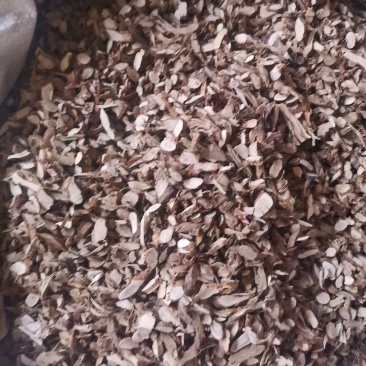 石菖蒲统条切片过筛去毛量大从优欢迎选购