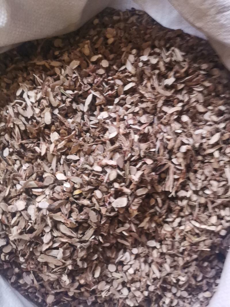 石菖蒲统条切片过筛去毛量大从优欢迎选购