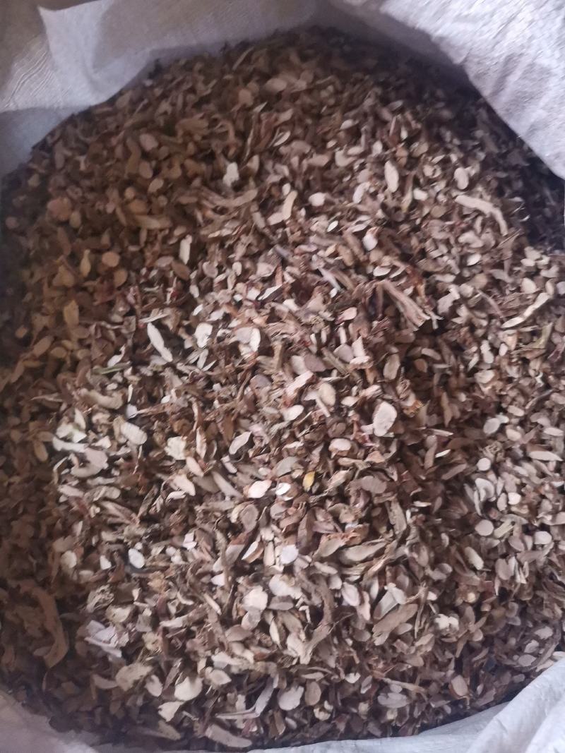 石菖蒲统条切片过筛去毛量大从优欢迎选购