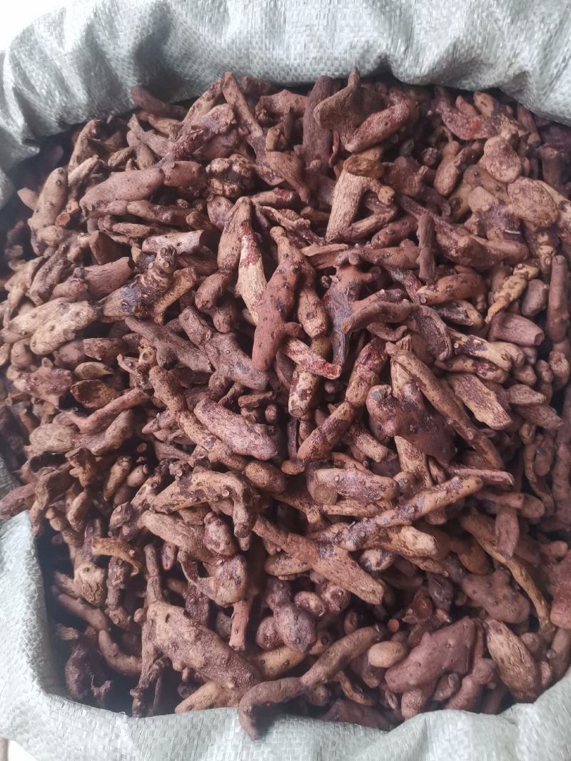 优质湖南贵州骨碎补去毛烘干量大从优规格齐全