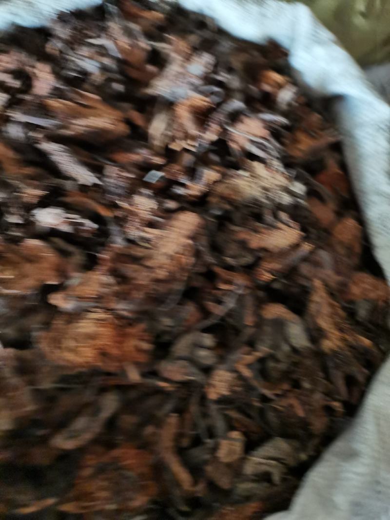贯众南贯众批发零售下单联系亲