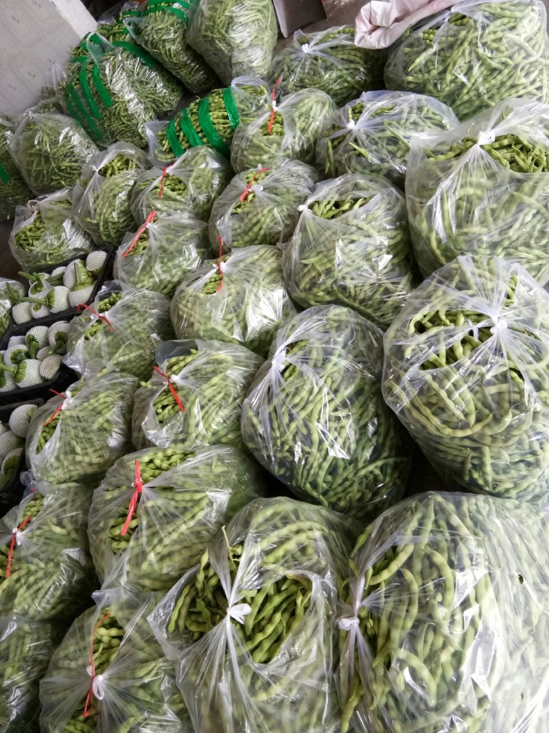 大青豆（新鲜大青豆现货）