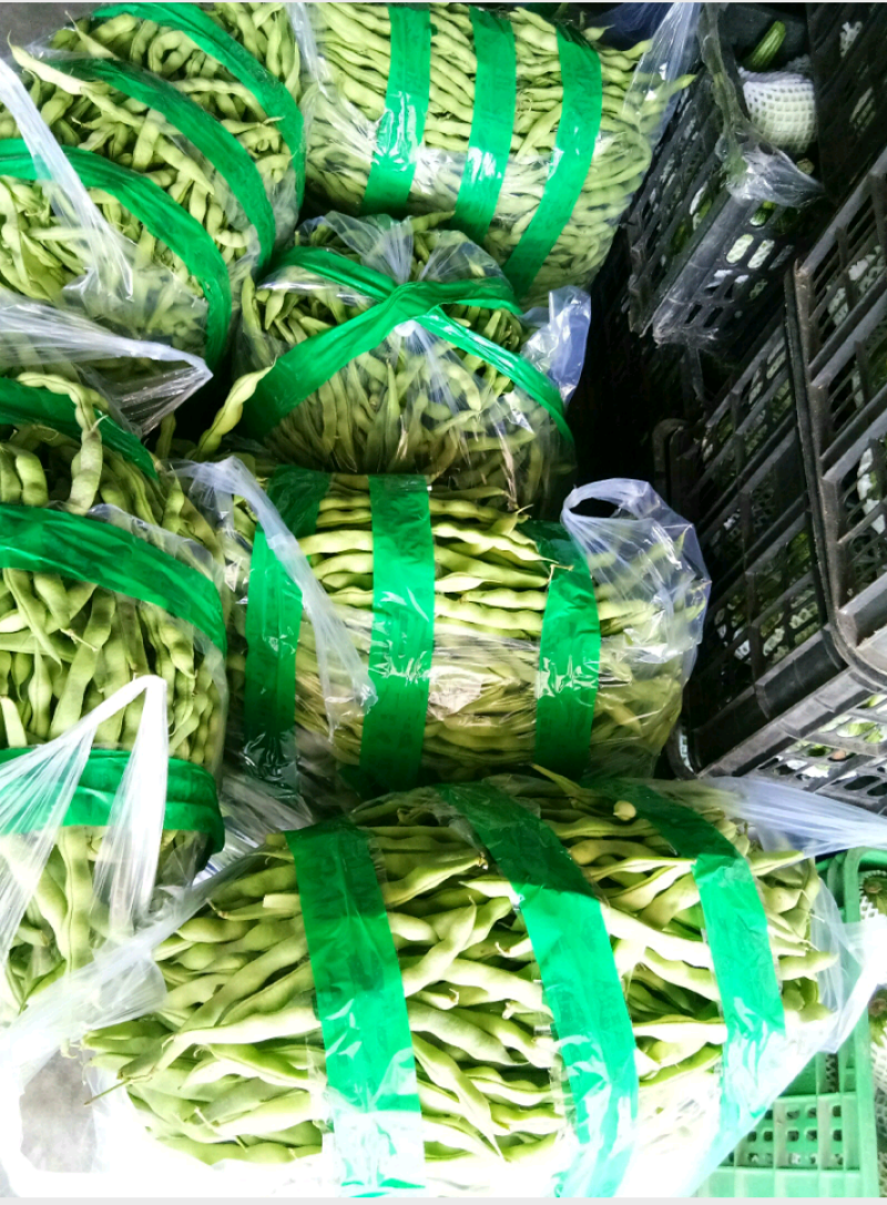 大青豆（新鲜大青豆现货）