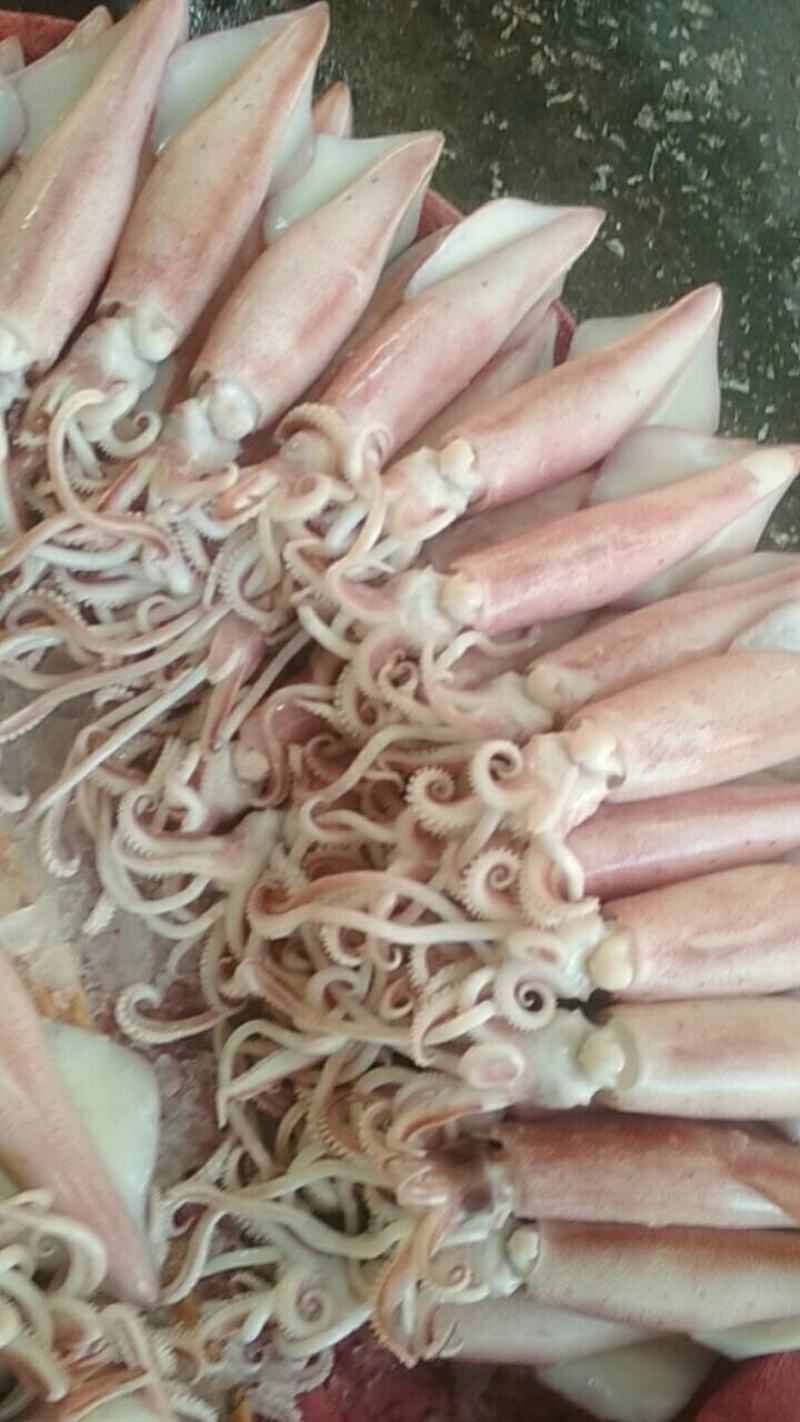 八爪，鱿鱼，蟹肉，各种规格，八爪口感很脆