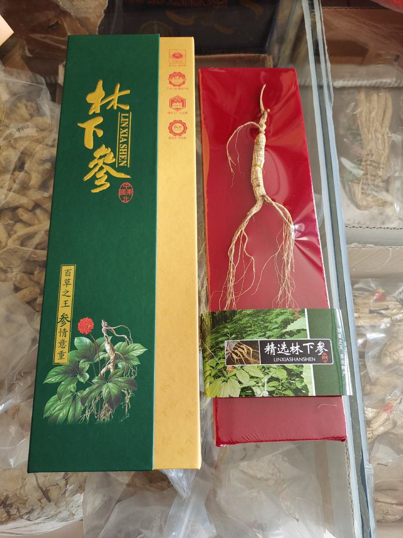 林下参，林下参小礼盒，煮粥煲汤炖鸡泡酒，节日伴手礼