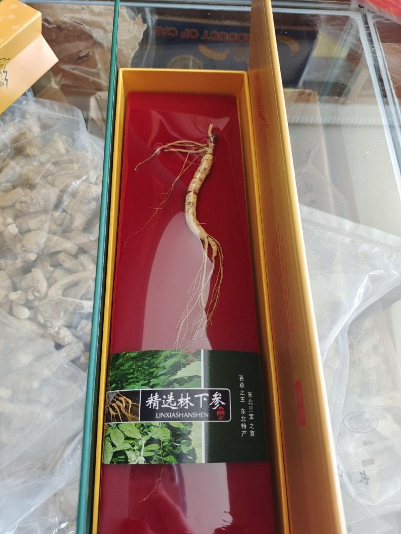 林下参，林下参小礼盒，煮粥煲汤炖鸡泡酒，节日伴手礼