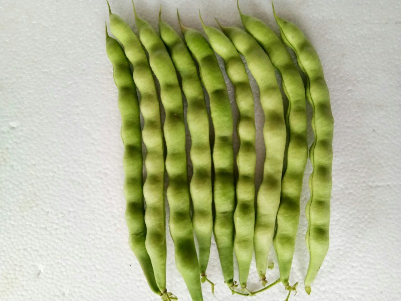 大青豆（新鲜大青豆现货）