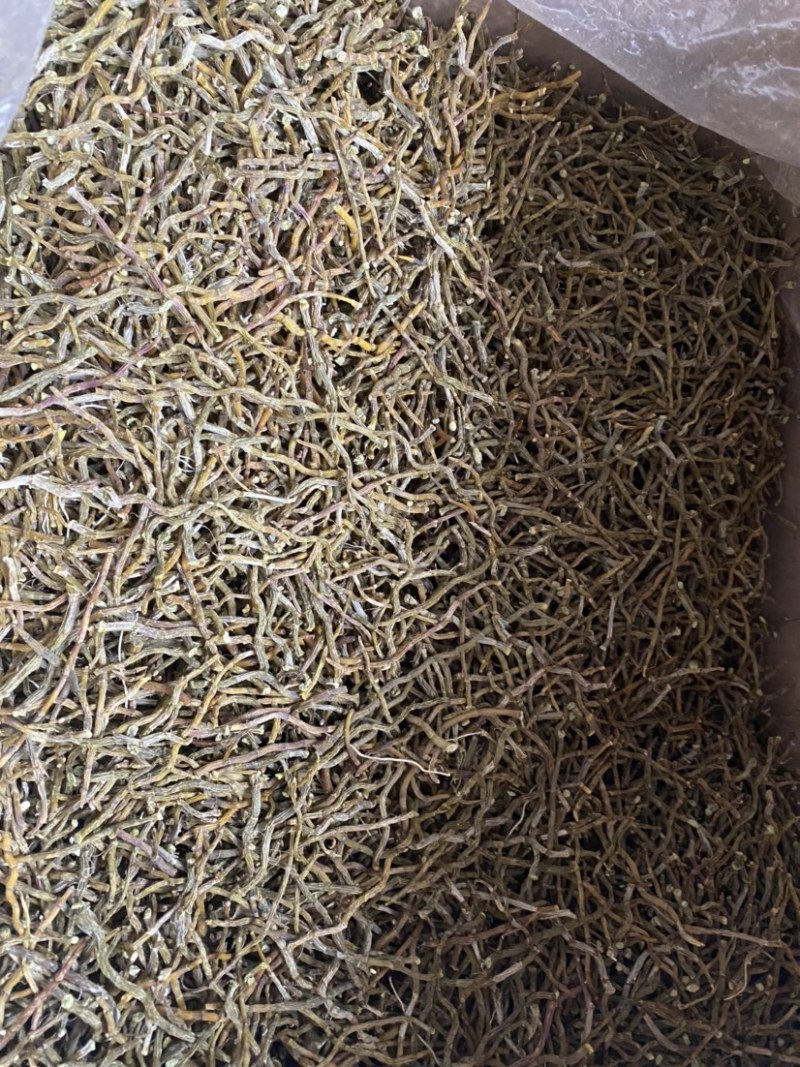 铁皮石斛干条，无硫500g装，临省可以包邮！