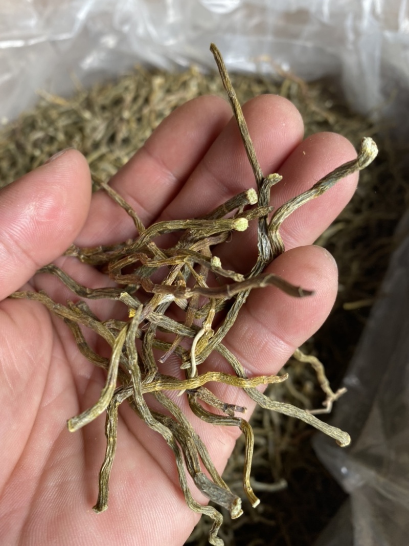 铁皮石斛干条，无硫500g装，临省可以包邮！