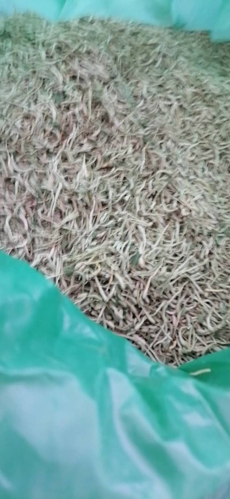 金银花干货一级精品，批发零售，需要的话可以联系我们133