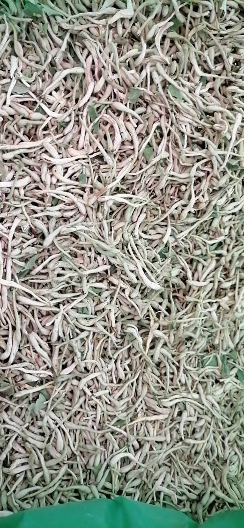 金银花干货一级精品，批发零售，需要的话可以联系我们133