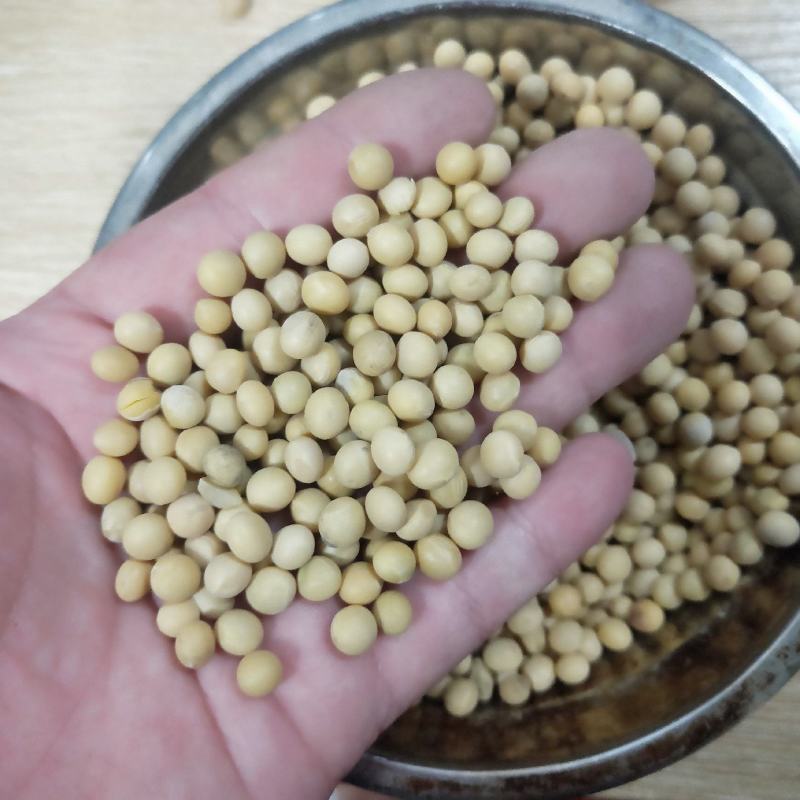 自己种的，只有100斤便宜卖了