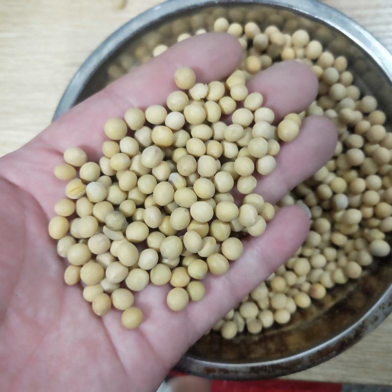 自己种的，只有100斤便宜卖了