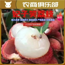 桂味荔枝妃子笑核小肉厚清甜多汁产地批发价格便宜