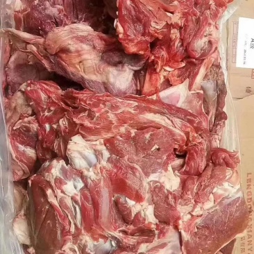 羔羊肉板，24一斤，50斤定装，前后腿肉混装