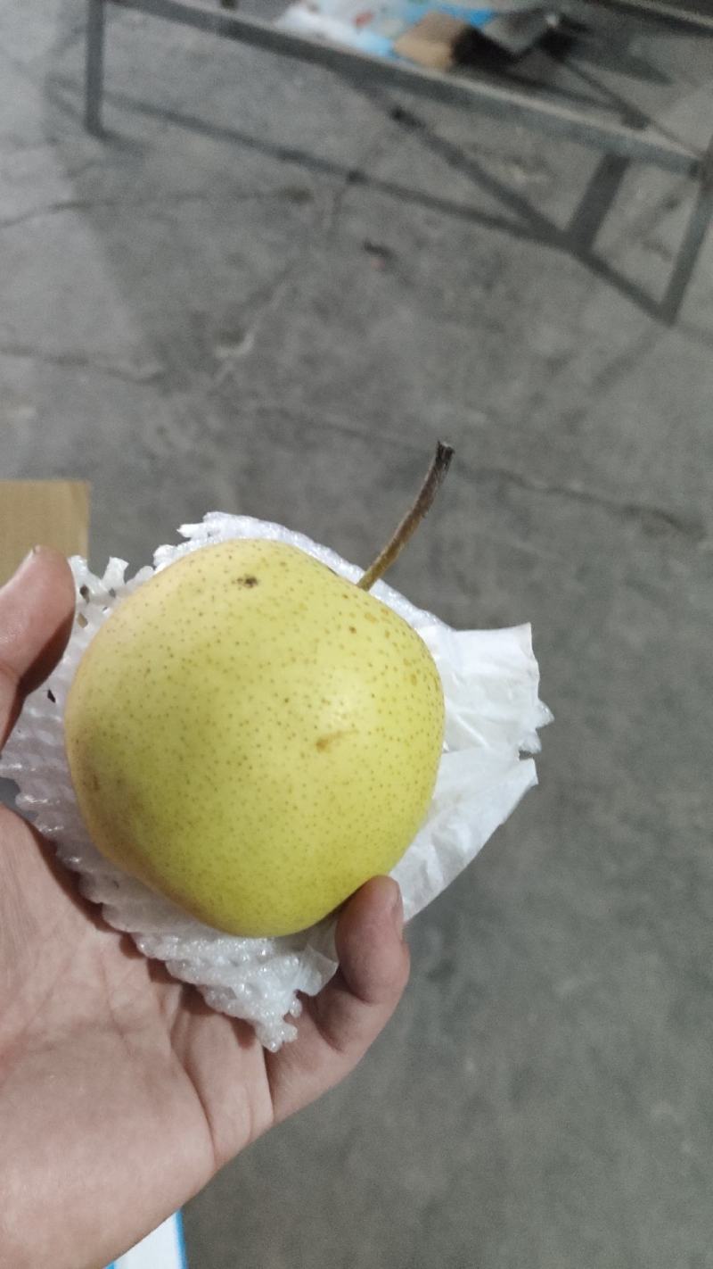 精品雪花梨