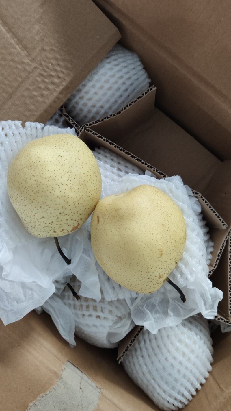 精品雪花梨