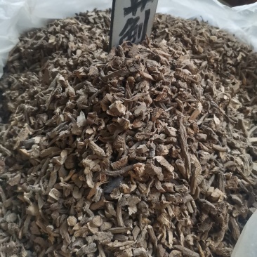大蓟过筛无杂净货量大从优