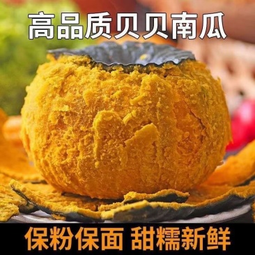 贝贝南瓜