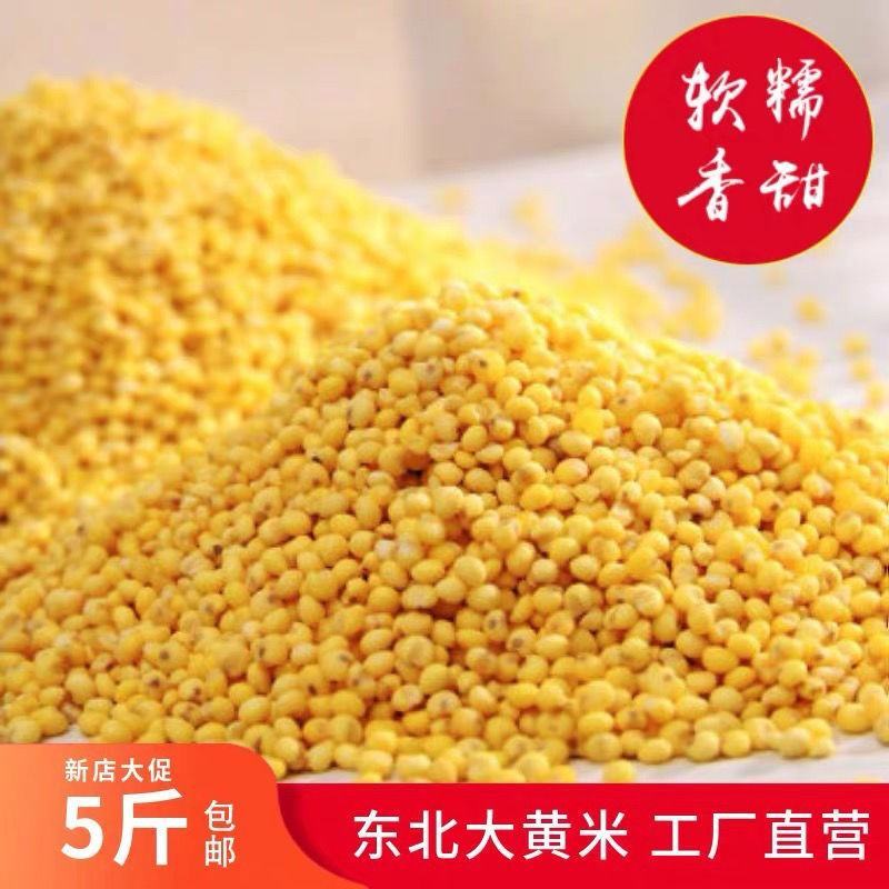 东北大黄米粘黄米包粽子黄米粘米红黍子黄米5斤包邮