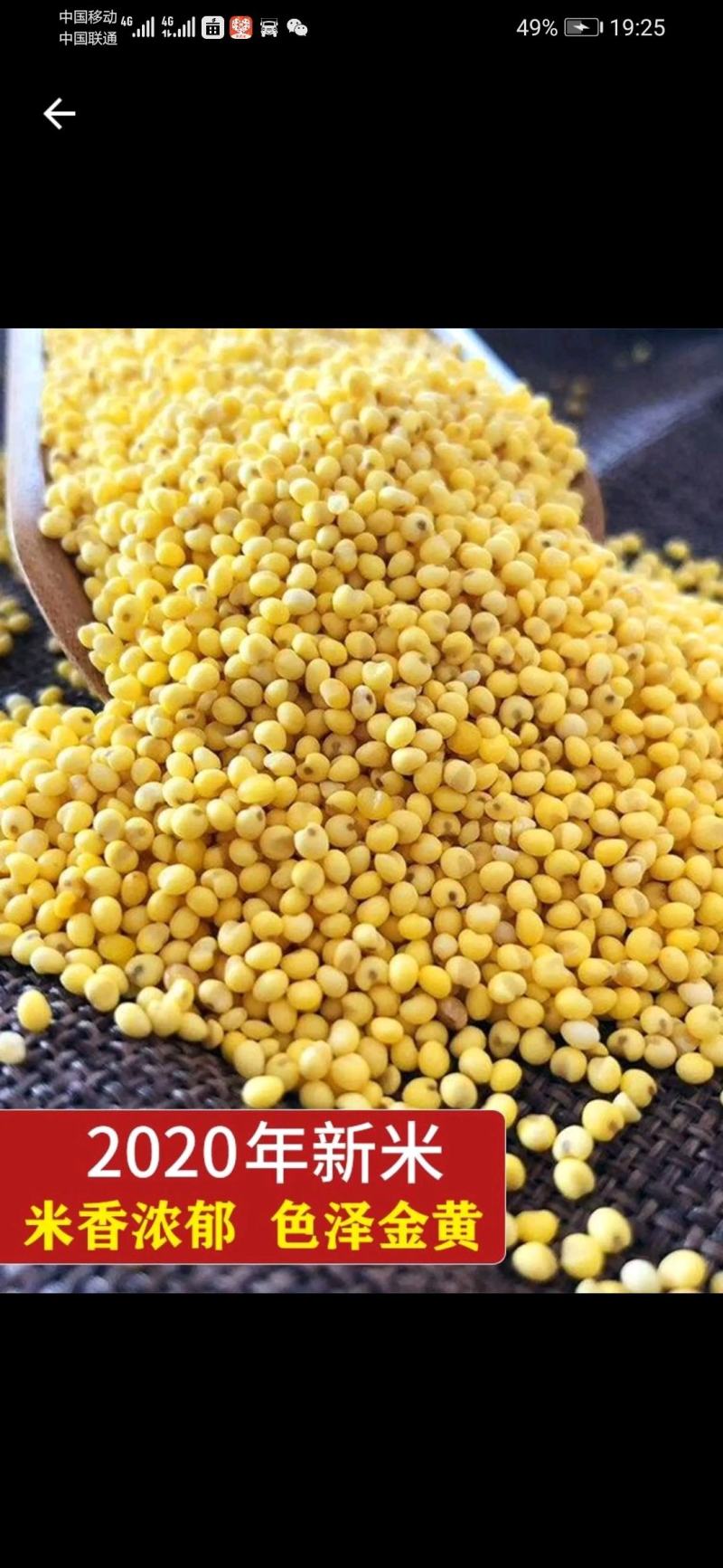 东北大黄米粘黄米包粽子黄米粘米红黍子黄米5斤包邮