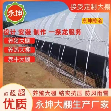 养殖大棚,种植大棚包设计,可安装,也可以视频指导