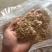 麸皮麸皮现货供应，物美价优，欢迎询价